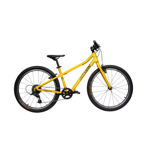 Vélo d’enfant 24 pouces pour la maîtrise du 2 roues | Bemoov
